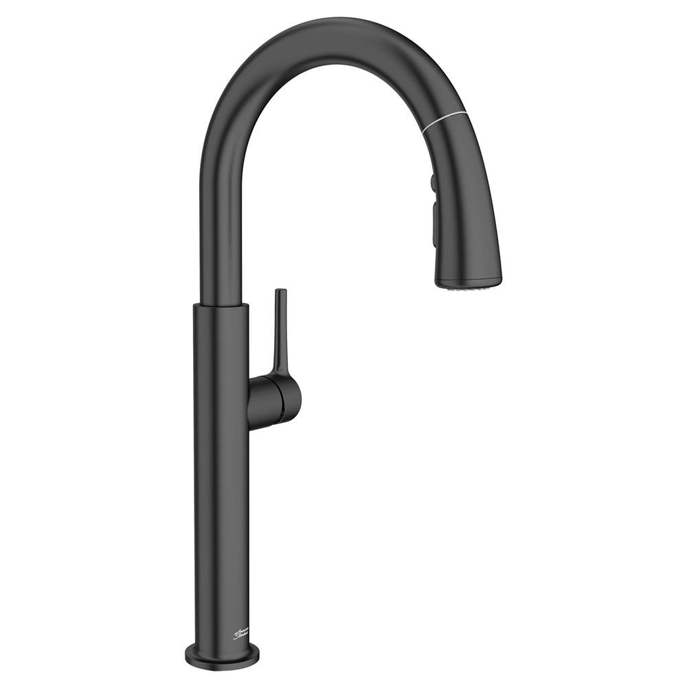American Standard Canada Retractable Faucets Kitchen Faucets item 4803300.243