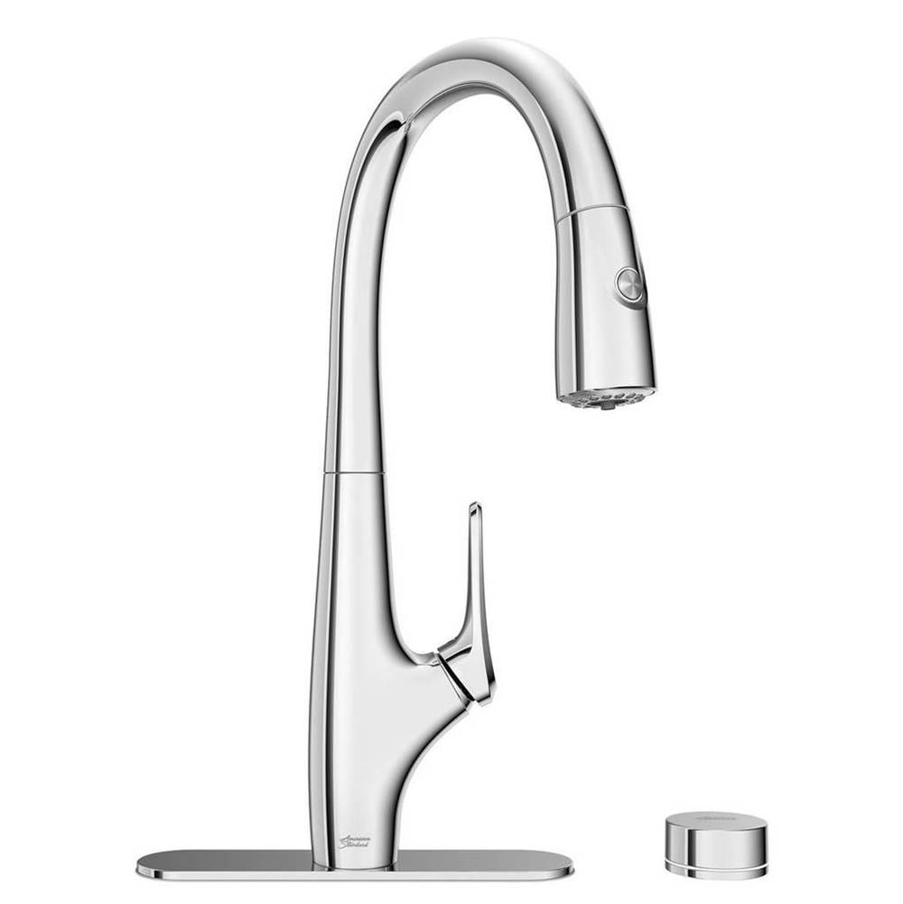American Standard Canada Saybrook Pd Filter Faucet With Filter