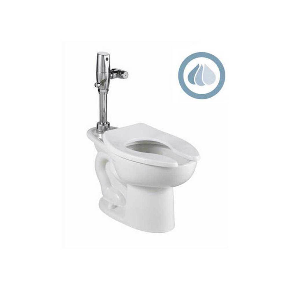 American Standard Canada Madera™ 1.1 - 1.6 gpf (4.2 - 6.0 Lpf) 15'' Height Back Spud Elongated EverClean® Bowl With Bedpan Lugs