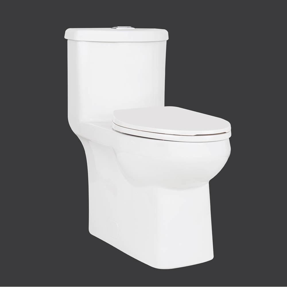 Contrac 4.8L/3L Dual Flush Concealed Elongated, Plus Height with Smooth Close Seat, Unlined Tank