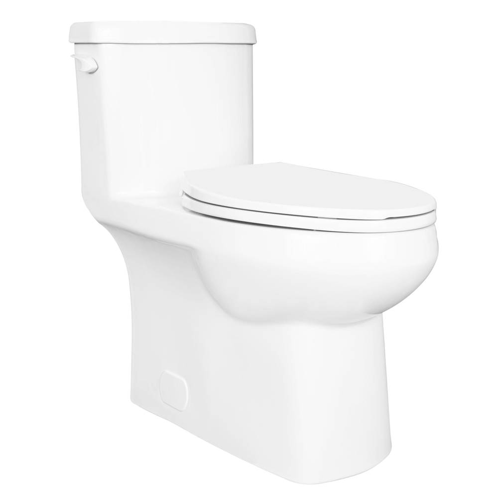 Contrac 4.8L Concealed Elongated, Plus Height with Smooth Close Seat, Lined Tank