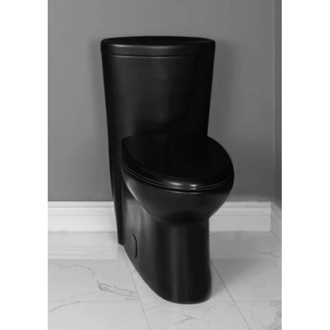 Contrac 4.8L Concealed Elongated Single Flush, 15.5'' Height Matte Black with matching button and with Smooth Close Seat