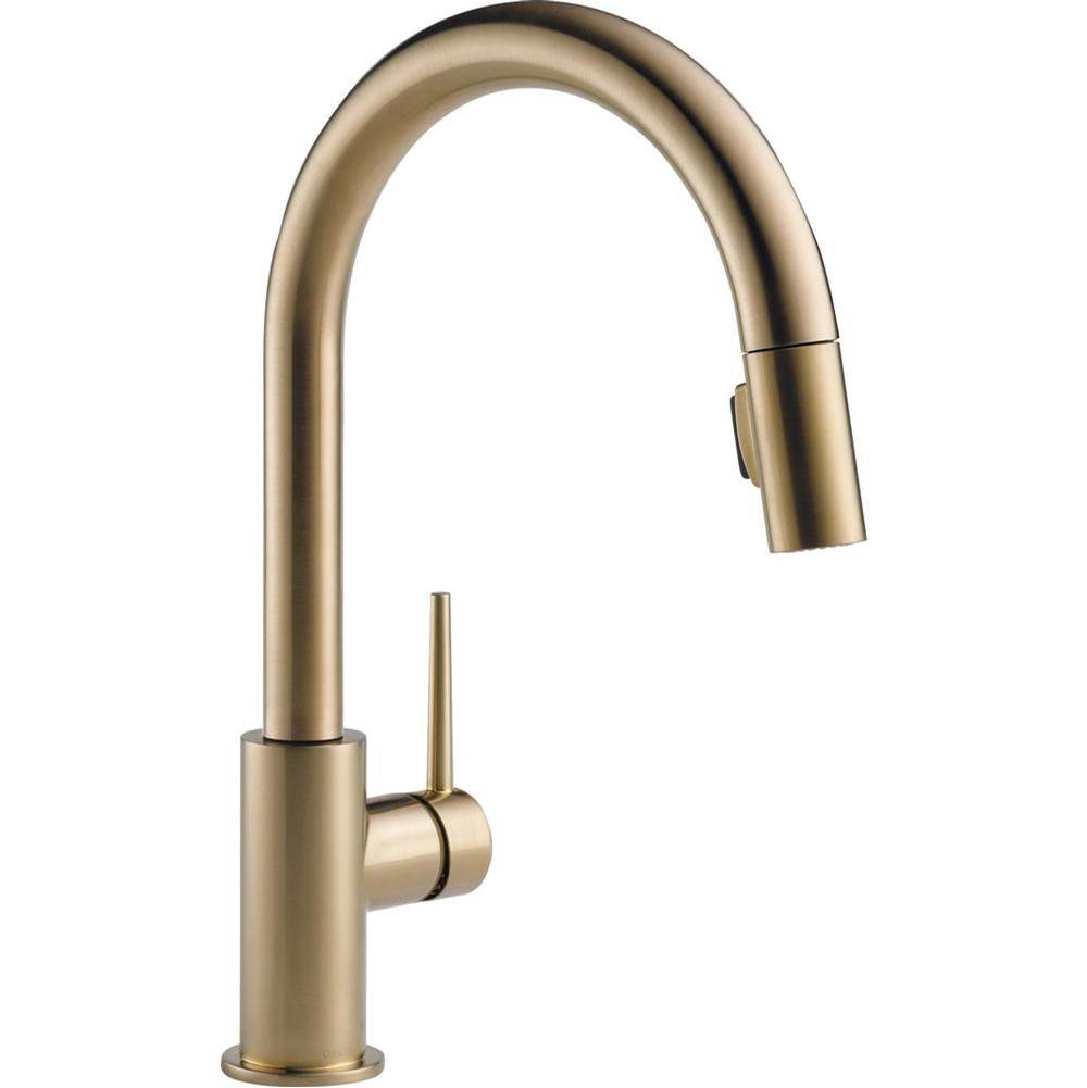 Delta Canada Trinsic® Single Handle Pull-Down Kitchen Faucet