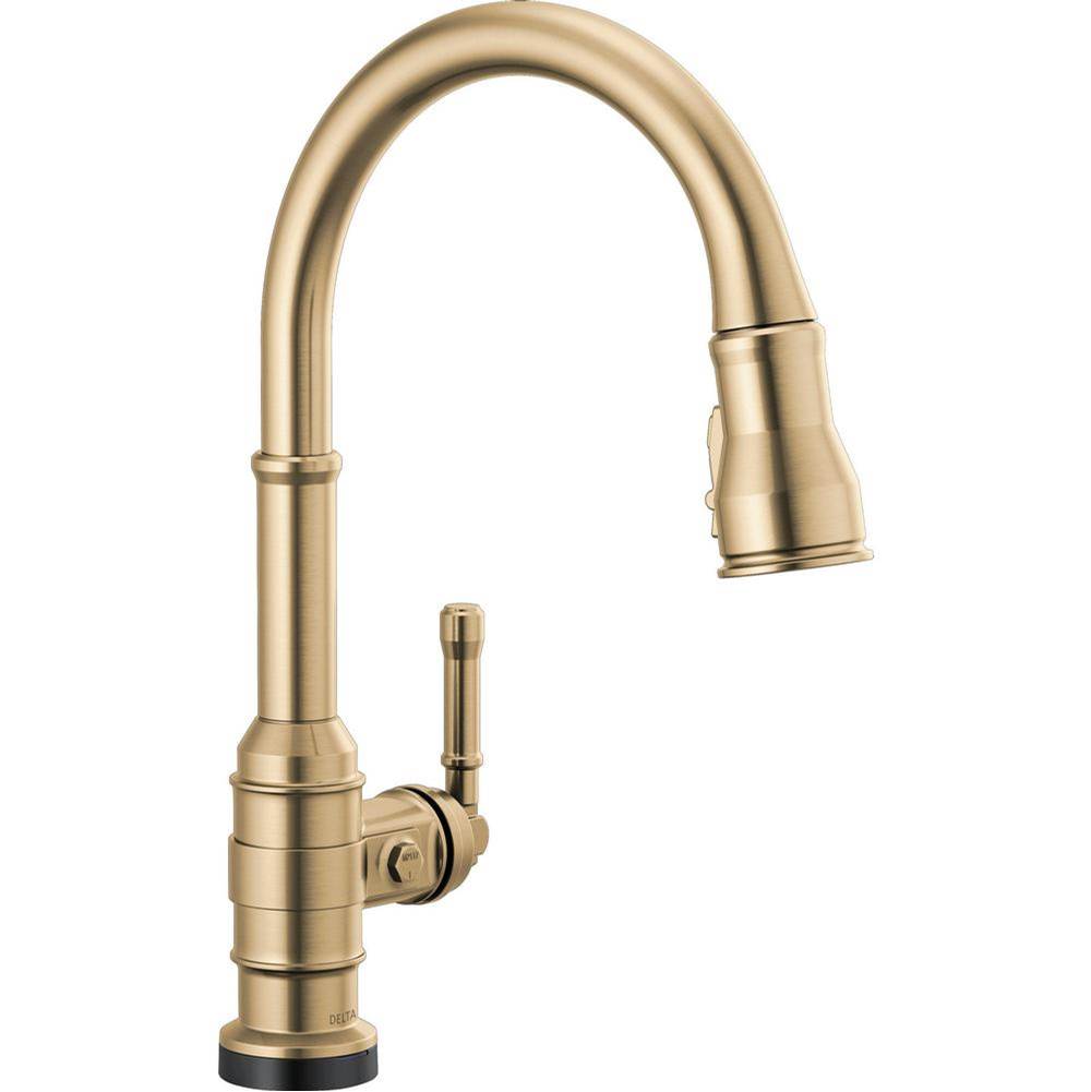 Delta Canada Broderick™ Single Handle Pull-Down Kitchen Faucet With Touch2O Technology