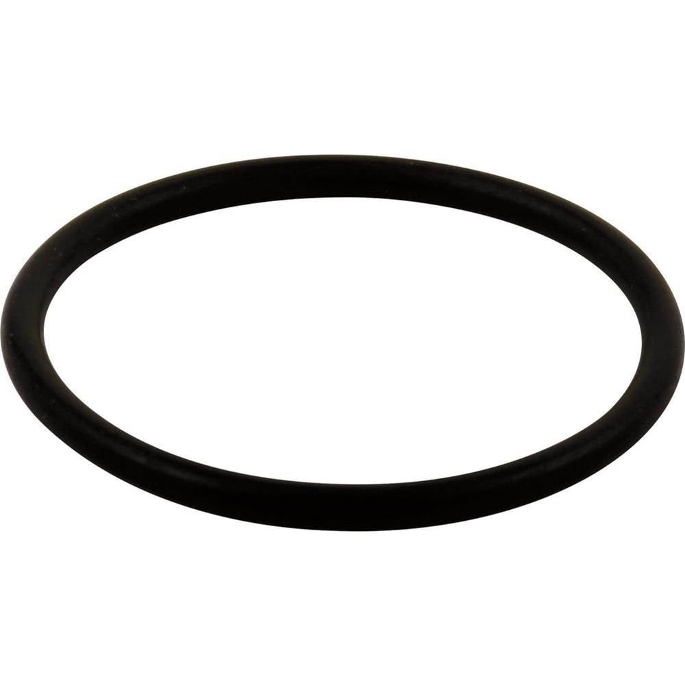 Delta Canada Other O-Ring - Large - All Monitor® Series